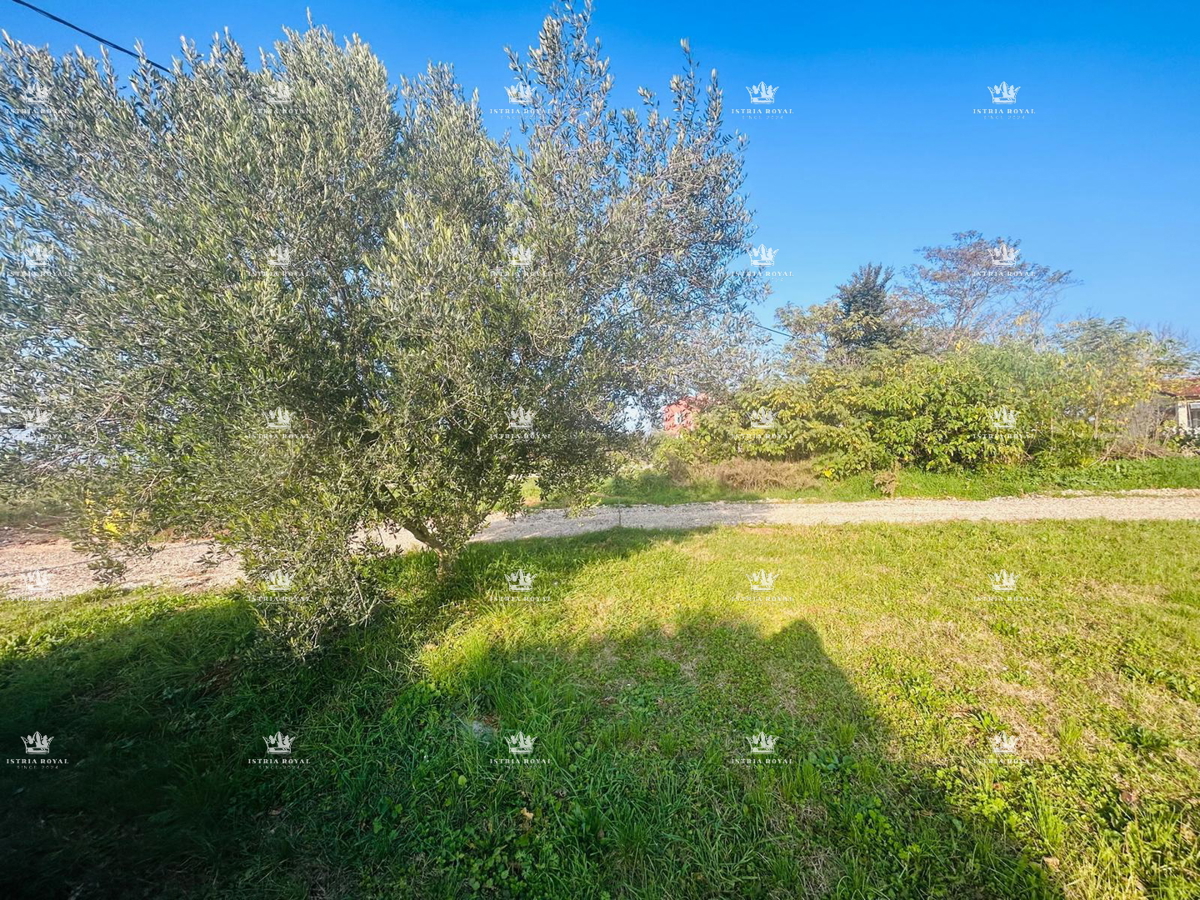 Hiša z razgledom na morje na območju Istre – 170 m² bivalne površine na 665 m² zemljišča | Cena: 250.000 €